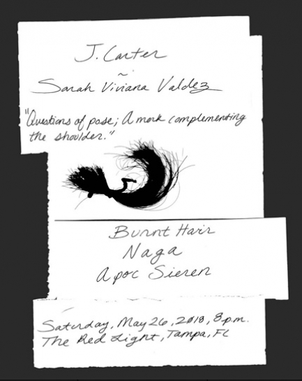 https://www.sarahvivianavaldez.com/files/gimgs/th-14_w-question_of_pose_flyer_2018.jpg